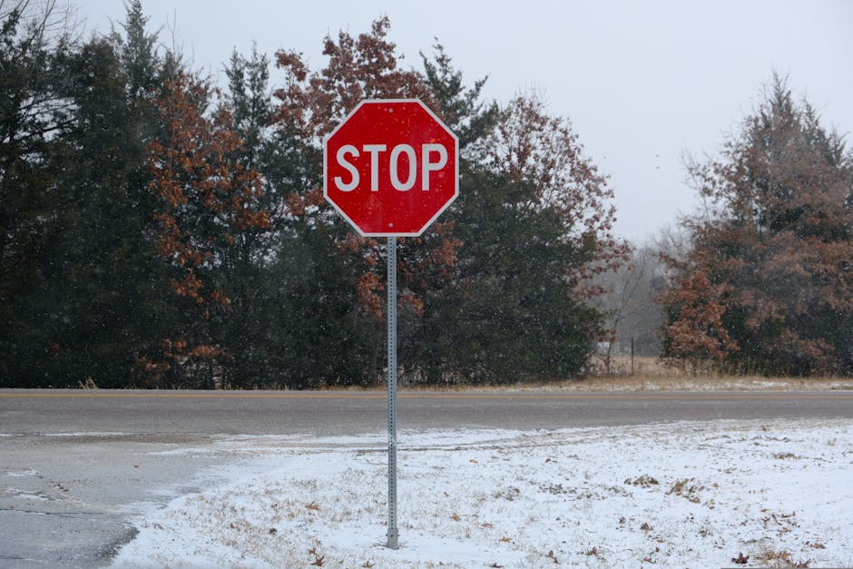 A stop sign stands amidst autumnal trees with a light snow cover, capturing a serene winter scene.