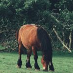 Amazon Fall Haul Under : What’s Actually Worth Buying