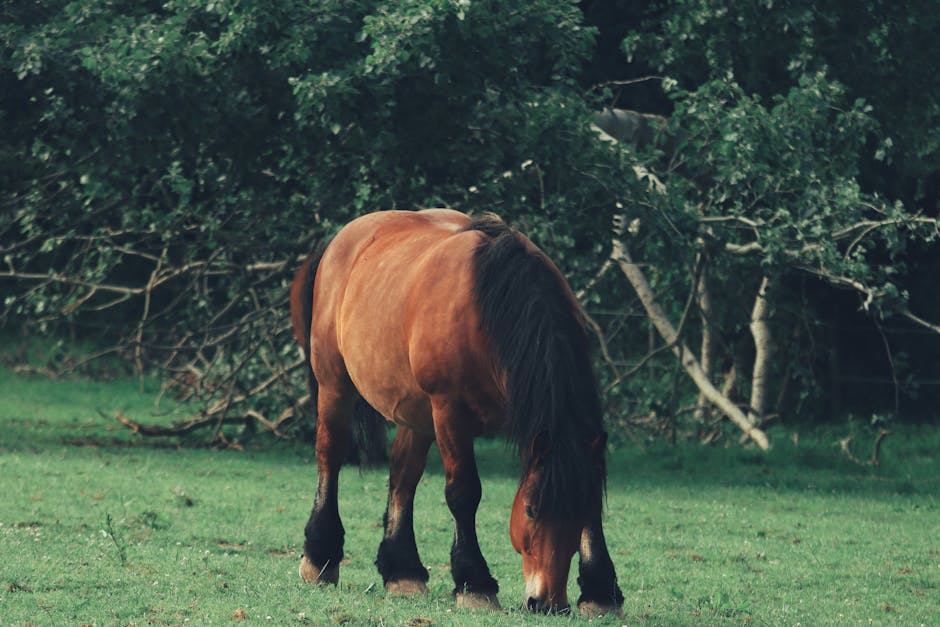 Amazon Fall Haul Under : What’s Actually Worth Buying